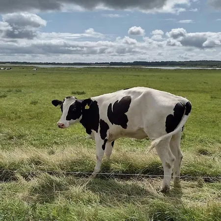 Casa vacanze 8 Person In Logstor-by Traum Logstor