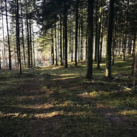 펜션 8 Person In Logstor-by Traum *